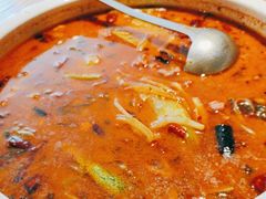 -滇铺子·云南特色菜·第九届野生菌美食节(东风东路c86店)