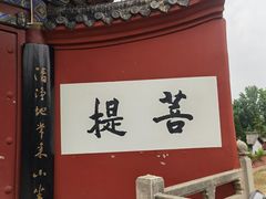 -洛阳白马寺