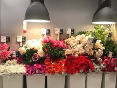 -宜家家居(哈尔滨商场店)