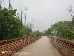 -昆山城市生态森林公园