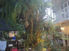 -Fern Forest Cafe