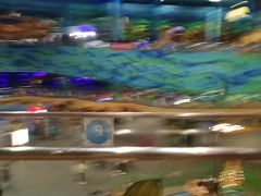 -青岛嘉年华主题乐园