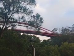 -金鸡山公园