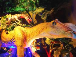 -恐龙探索乐园(磁器口店)