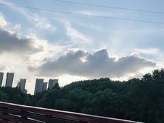 -昆山城市生态森林公园