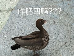 -上海齐鲁酒店·辣椒屋咖啡厅