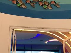 -泉城欧乐堡海洋极地世界