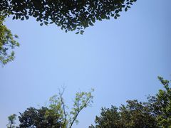 -蠡湖大桥公园