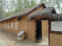 -微山湖红荷湿地景区