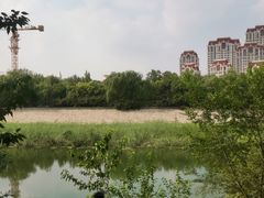 -桃花堤公园