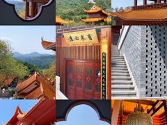 -深圳仙湖植物园