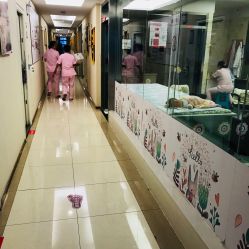 -大美臻喜母婴(重庆创始店)