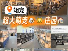 -翊宠yipet猫狗购宠庄园犬舍•猫舍