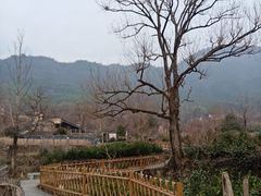-塔川景区