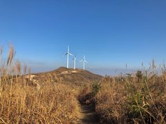 -东白山