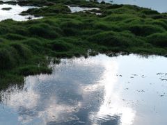 -腾冲北海湿地