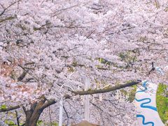 -杭州少年儿童公园