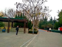 -大兴滨河森林公园