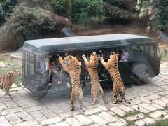 -深圳野生动物园