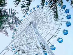 -秦皇岛乐岛海洋王国