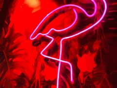 -纯K(打浦桥店)