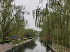 -元大都城垣遗址公园