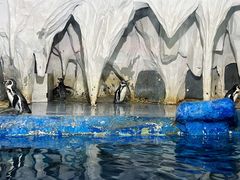 -太平洋海底世界