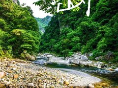 -光雾山旅游景区