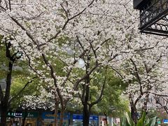 -玛格萝妮比萨屋(四平店)