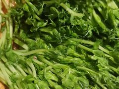 -捞王猪肚鸡火锅(昆山店)
