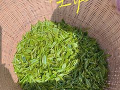 -龙坞茶村