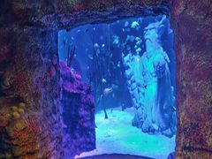 -沈阳海洋探索中心