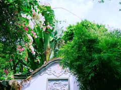 -深圳国际园林花卉博览园