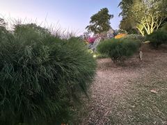 -东莞植物园