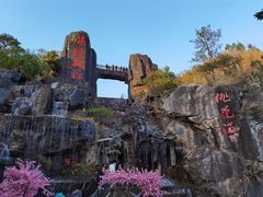 -清境桃源