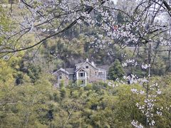 -莫干山风景区