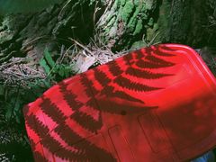 -重庆睡佛山森林公园