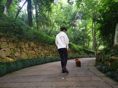 -杭州半山国家森林公园