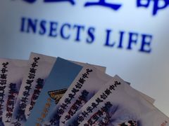 -上海昆虫博物馆