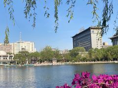 -文瀛公园