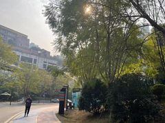 -重庆彩云湖湿地公园