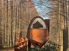 -黄海国家森林公园