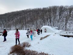 -五家山森林公园滑雪场