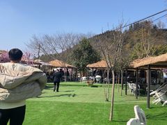 -正宗火盆自助烧烤·烤全羊·柴火鸡(龙泉山店)
