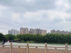 -昆山城市生态森林公园