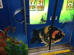 -东街口(地铁站)