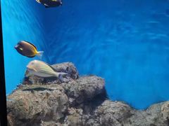 -福州罗源湾海洋世界旅游区