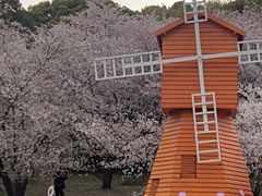 -苏州上方山国家森林公园