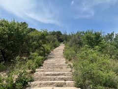 -北京西山国家森林公园