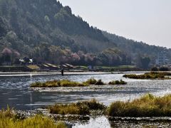 -腾冲北海湿地